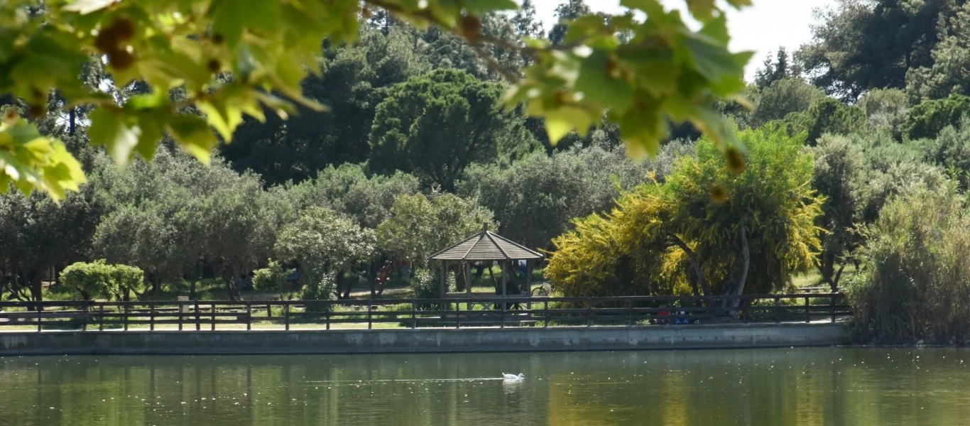 Καθαρά Δευτέρα: Αυτά τα πάρκα αναμένεται να παραμείνουν ανοικτά στην Αττική